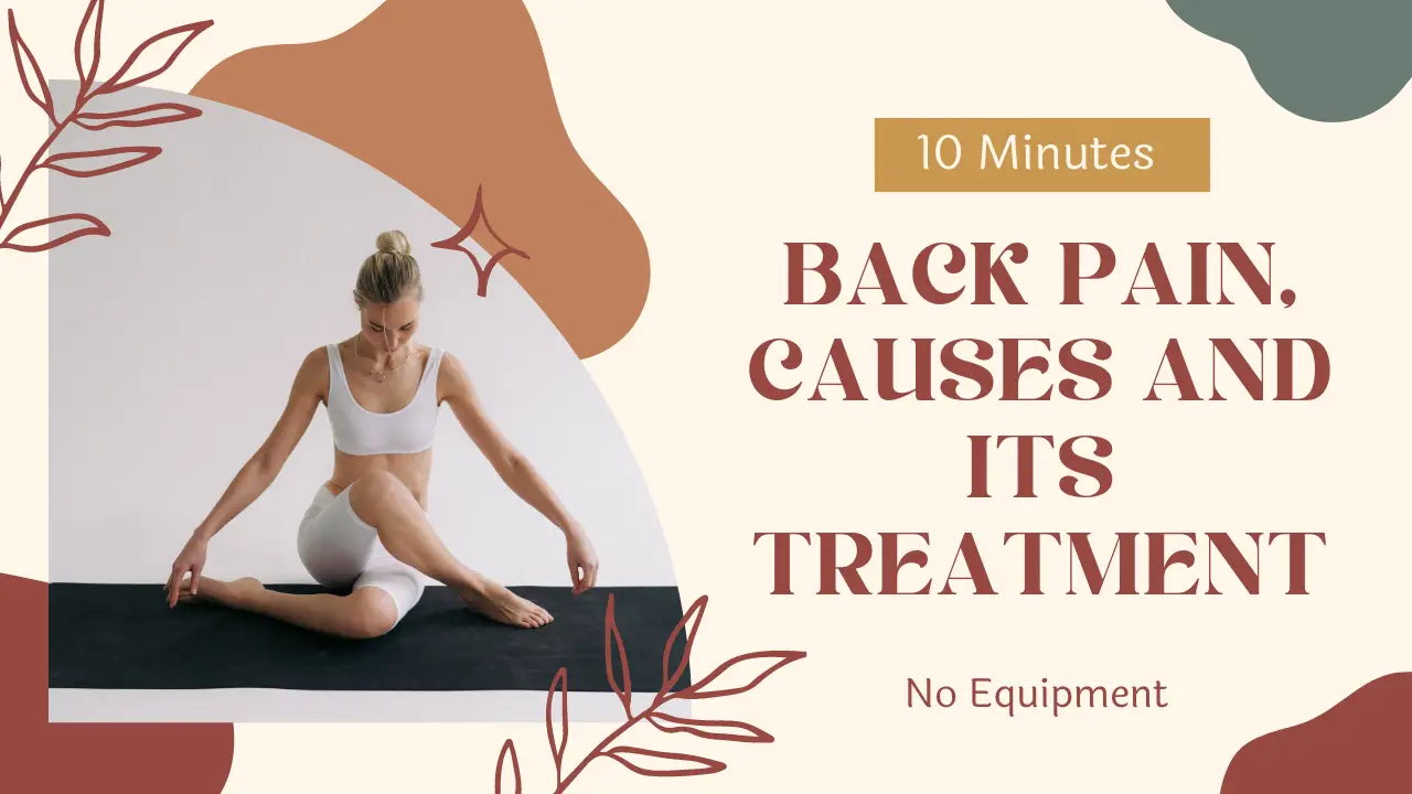 BACK PAIN CAUSES